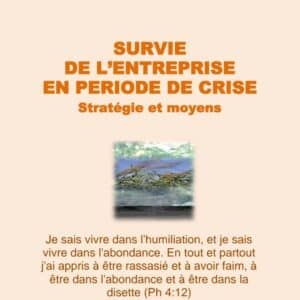 Survie de l&rsquo;entreprise en période de crise, stratégie et moyens