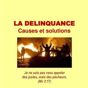 La délinquance causes et solutions